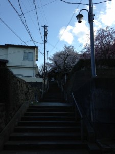 写真 2014-04-05 16 28 42