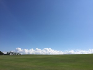 IMG_5537
